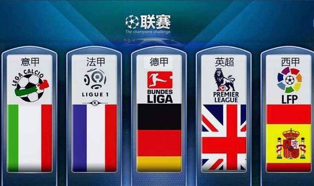 巴西队在国